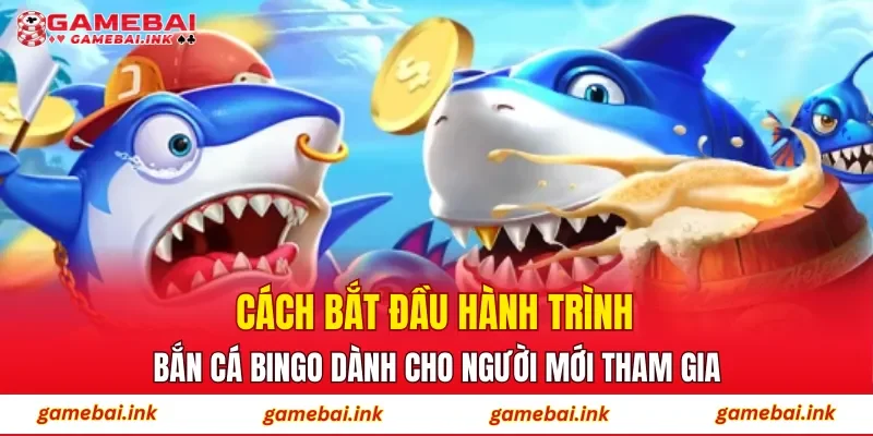 Cách bắt đầu hành trình Bắn Cá Bingo dành cho người mới tham gia