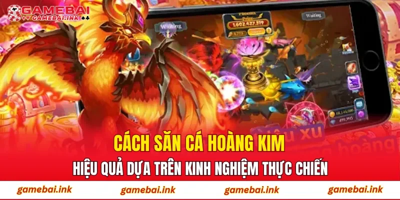 Cách săn cá Hoàng Kim hiệu quả dựa trên kinh nghiệm thực chiến