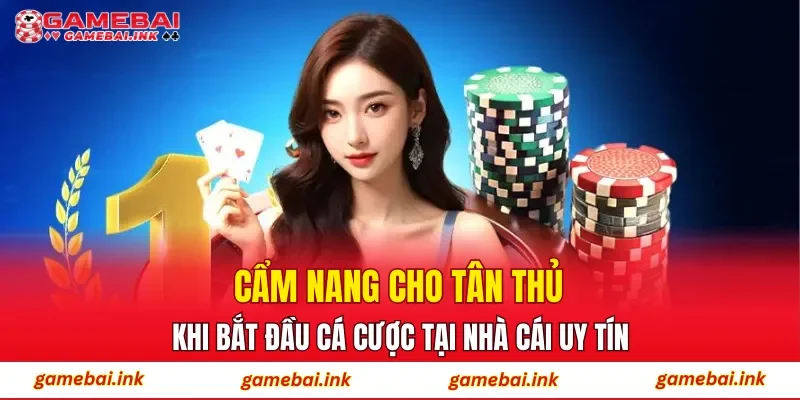 Cẩm nang cho tân thủ khi bắt đầu cá cược tại nhà cái uy tín