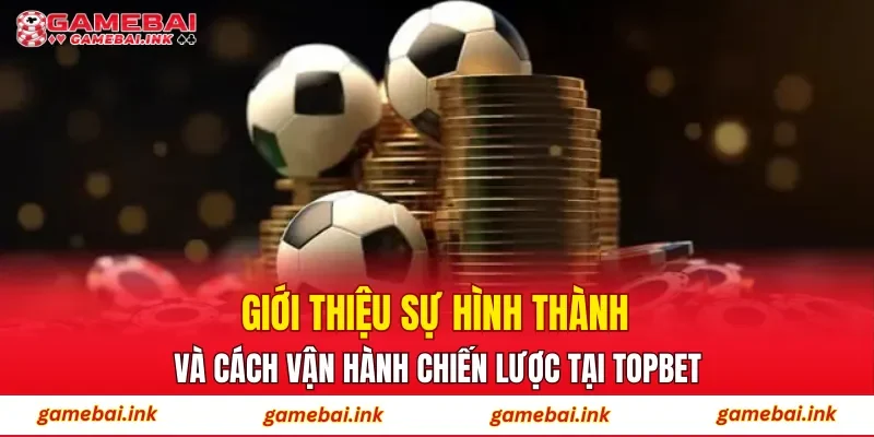 Giới thiệu sự hình thành và cách vận hành chiến lược tại TOPBET