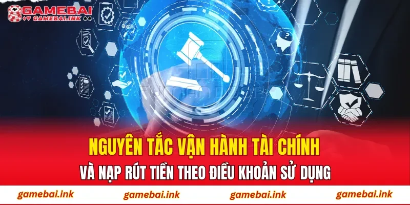 Nguyên tắc vận hành tài chính và nạp rút tiền theo điều khoản sử dụng